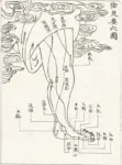 Acupuncture points and meridians: the foot
