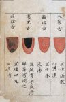 C14 Chinese tongue diagnosis chart