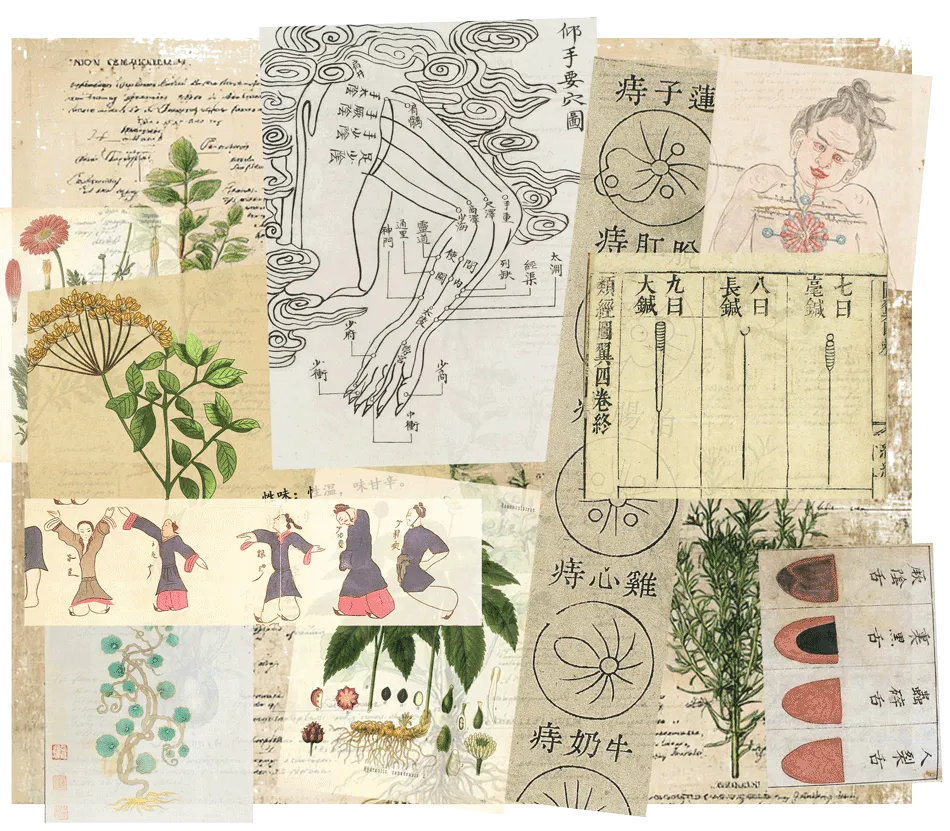 Collage of illustrations of traditional healing tools and techniques