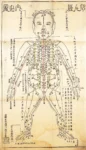 Illustration showing bodily tracks and their acupuncture points