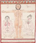 Three Tibetan anatomical figures