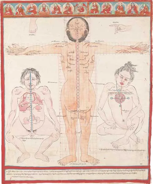 Ancient Tibetan Drawing of the human body