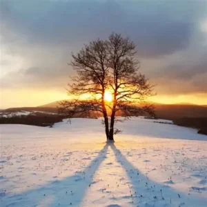 Finding Balance in the Winter Soul-stice