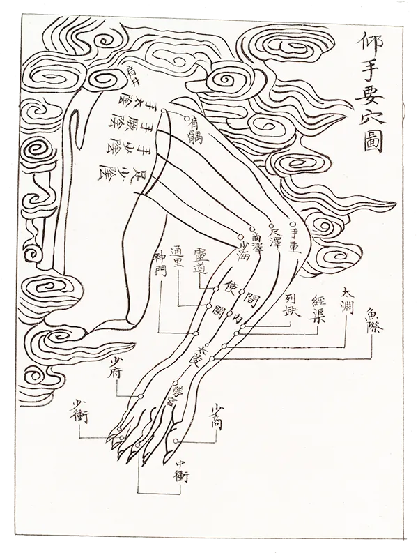 Chinese sketch- a chart of arm with lines and points
