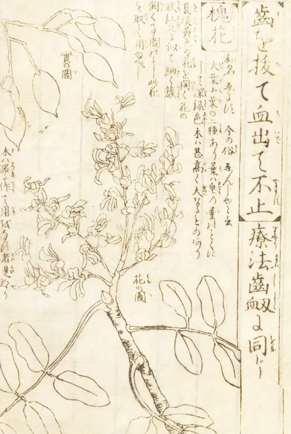 Faded Chinese sketch