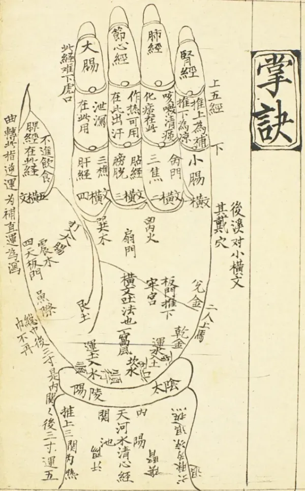 Palm Massage Chart- Drawing of Hand with Notations in Chinese